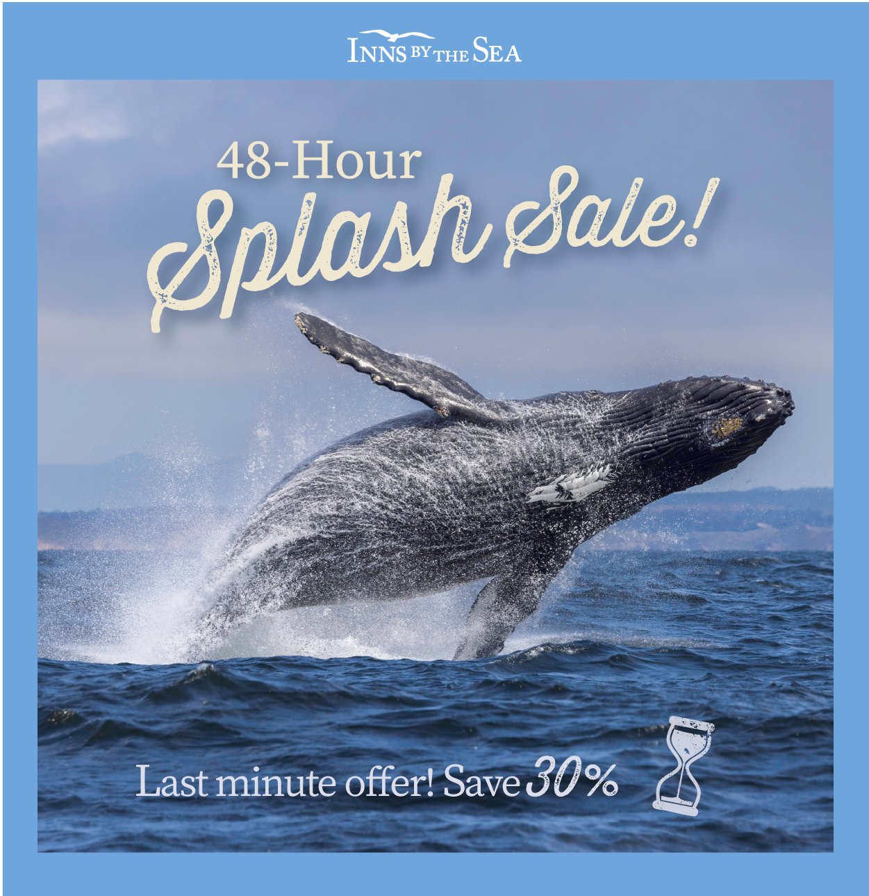 Splash Sale Final Email Design