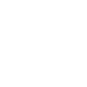 Janelle Lee monogram